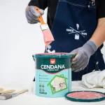 Rekomendasi Warna Cendana Interior Paint Agar Rumah Terasa Lebih Sejuk