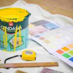 Cendana Interior Paint